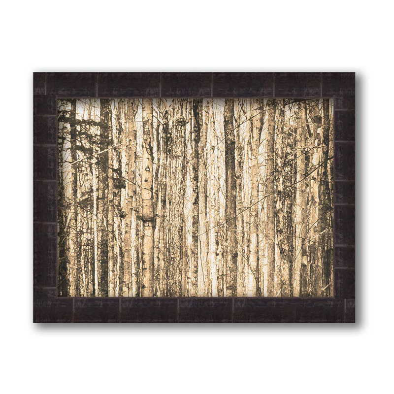 «Bare Trees» par Hal Halli. Impression sur papier - Montée et encadrée avec de l'acrylique transparent, H 34 po x l 44 po