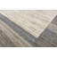 Area Rug in Beige/Gray