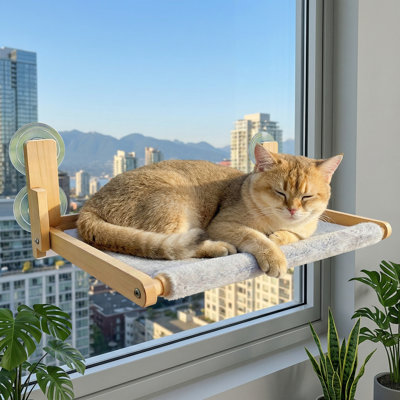 Ensemble de terrarium panoramique à 13 ° pliable 13 gallons, réservoir à crête Gecko avec ventilation supérieure, alimentation facile, construction robuste et assemblage simple, noir, 18 po x 13 po x 13 po