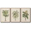 Les Palmiers II - Ensemble de 3 reproductions encadrées sur toile-97811932-97811935
