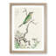 Ruby Throat & Wild Camomile by Numata Kashu - Picture Frame Painting Print-55761985-55761986