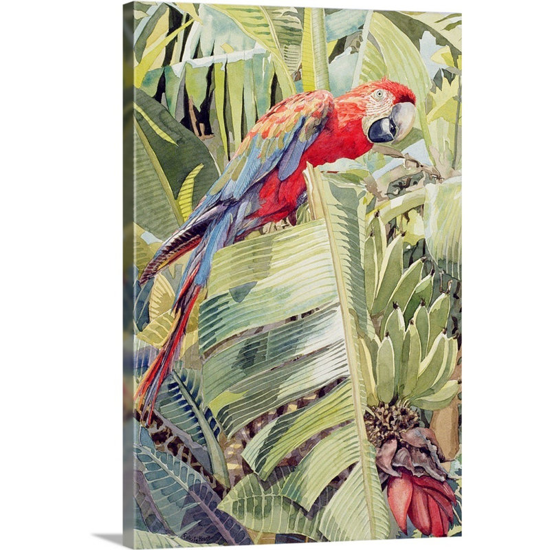 «Jungle Parrot» par Felicity House, reproduction sur toile, Toile tendue, H 48 po x l 32 po x P 1,25 po