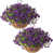 Purple sélectionné
