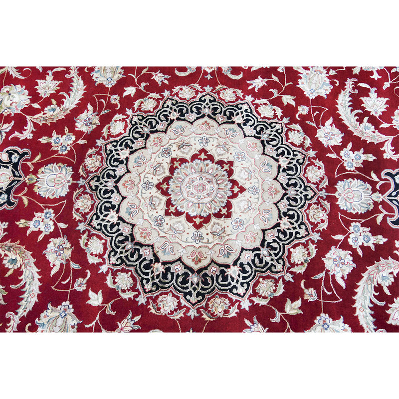 Oriental Area Rug, Rectangle 6' x 9'