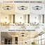 Ceiling Fan-384102274