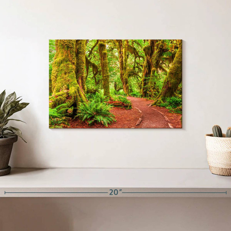 Mossy Hoh Rainforest Trees, H 8 po x l 12 po