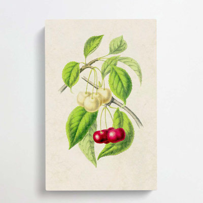 Illustration of Cherries - Wrapped Canvas
