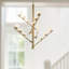 Cypress 5 Arm Opal Glass LED Chandelier-1462355288