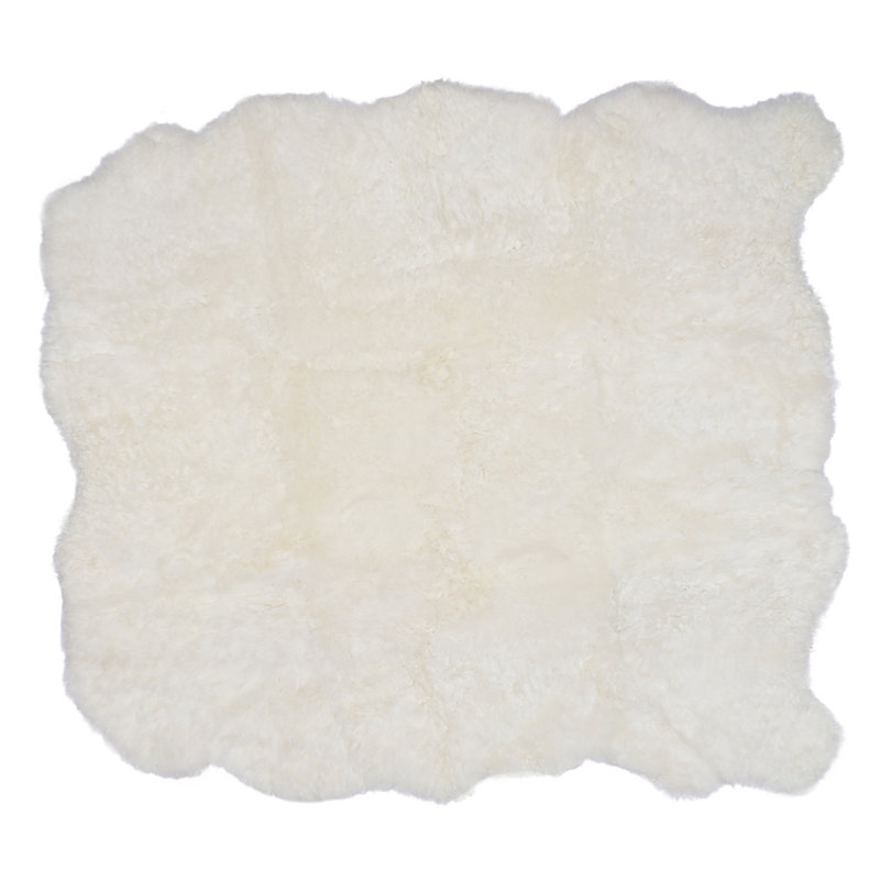 Area Rug in White