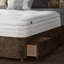 Falconer Upholstered Divan Bed-32622545-133799170-133799178