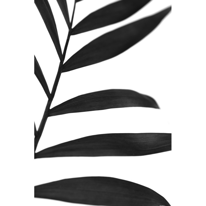 Black Palms V by Renée W. Stramel - Graphic Art, Wrapped Canvas, 76cm H x 51cm W