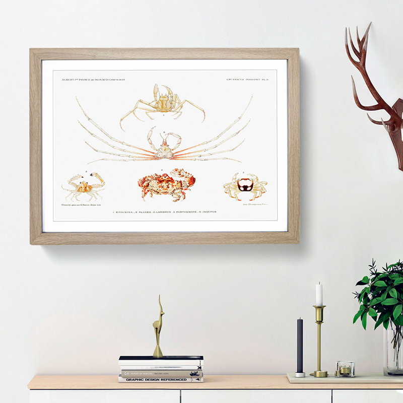 Crab Varieties by Albert I - Picture Frame Painting Print, 27cm H x 36cm W x 2cm D, Oak Framed