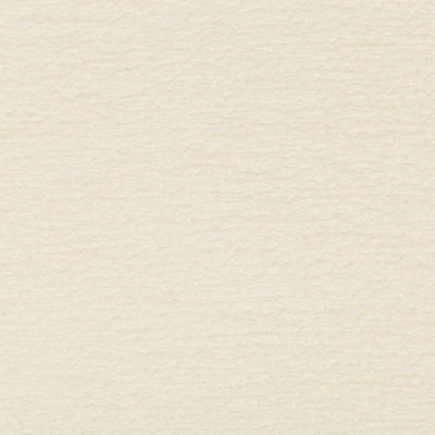 Performance Crypton Home Chenille Fabric