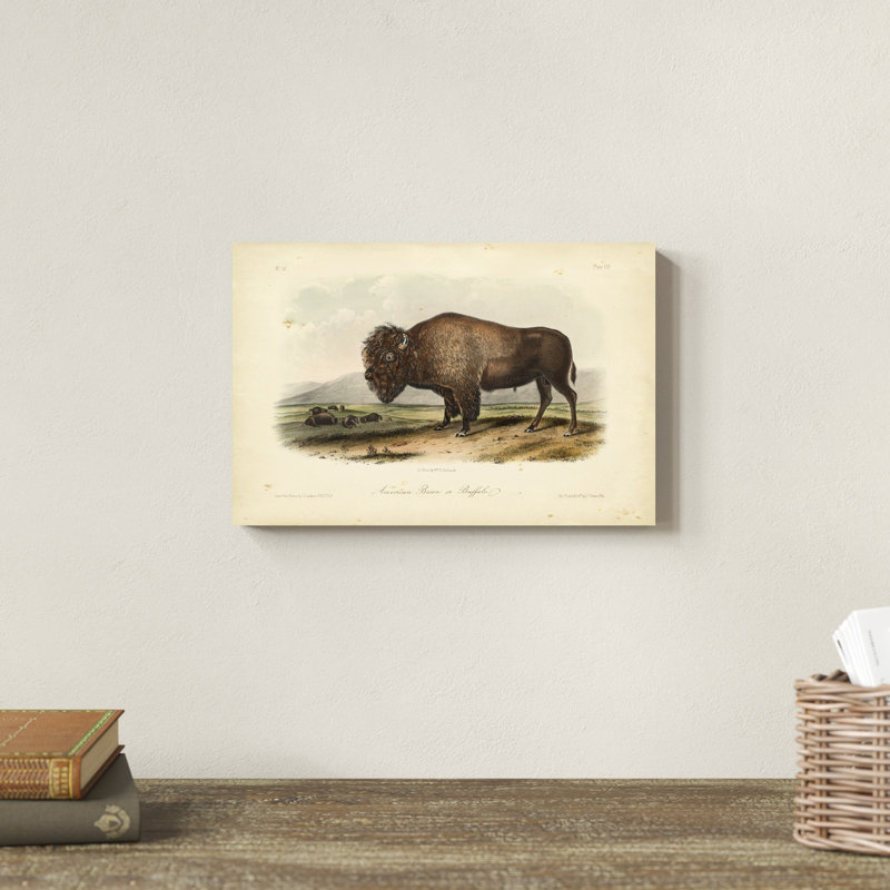 Bison d'Amérique, H 8 po x l 12 po x P 1,25 po