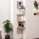 Jerzey 5 Piece Floating Shelf