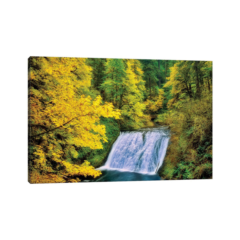 Silver Autumn Falls by Dennis Frates - Wrapped Canvas Print, 20.32 cm H x 30.48 cm W