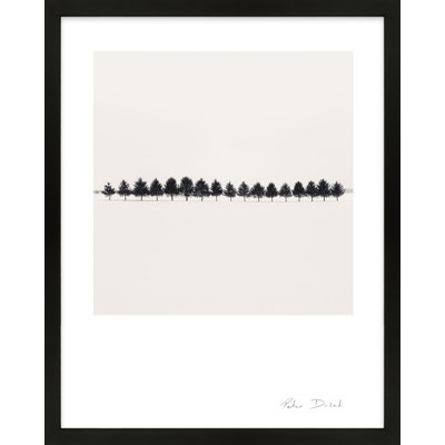 Seventeen Trees Print by Peter Dušek