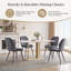 Stansky Mid-Century Modern Velvet Dining Chair with Crossed Metal Legs, Set of 2-1182278702