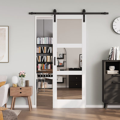 3-Lite 𝗗𝗼𝘂𝗯𝗹𝗲-𝘀𝗶𝗱𝗲𝗱 𝗠𝗶𝗿𝗿𝗼𝗿 Glass Barn Door Sliding Solid Manufactured Wood Interior Doors with Hardware Kit