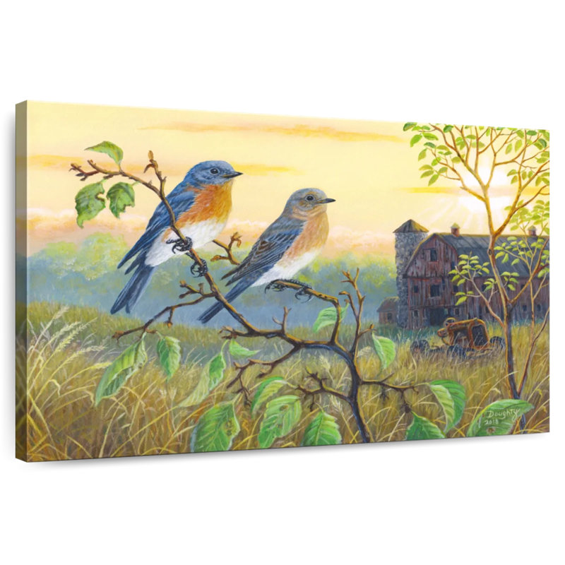 Brampt True Blue Bluebird