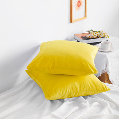 Square Zippered Throw Pillow Cover, Luxury Velvet Cover, Super Soft - NTBAY