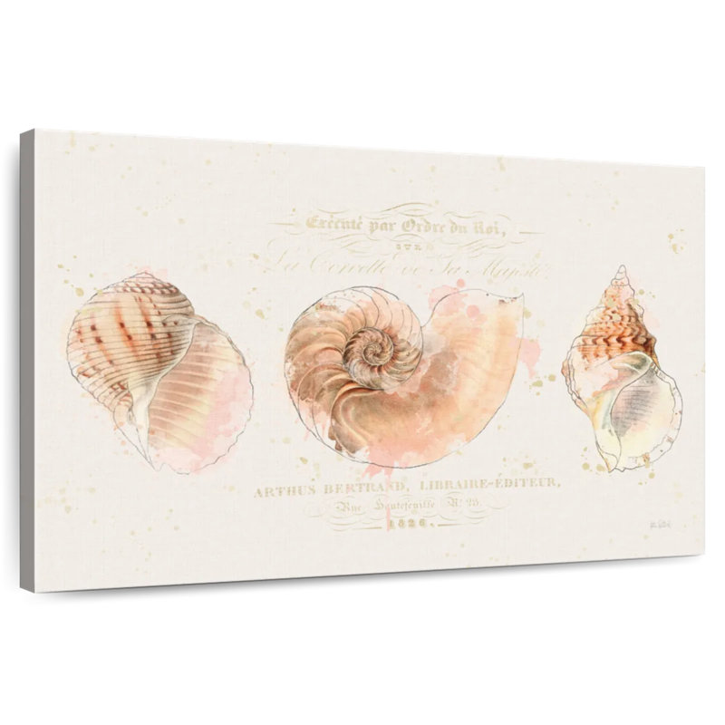 Aletra Pretty Shells Collection I, 30" H x 45" W