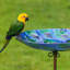 Bain d'oiseaux Kashara