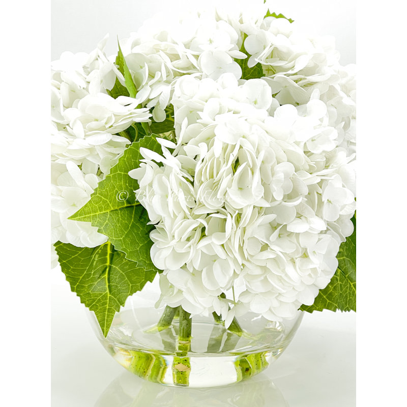 Véritable hydrangée dans un vase, White Color