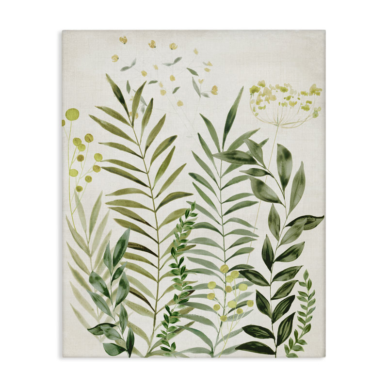  "Delicate Herbs & Leaves", art mural sur toile par Hannah Dawson, H 40 po x l 30 po