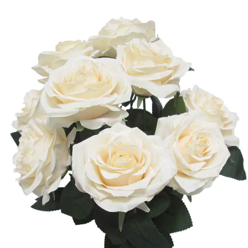 Grand rosier Jaafer Deluxe, Champagne