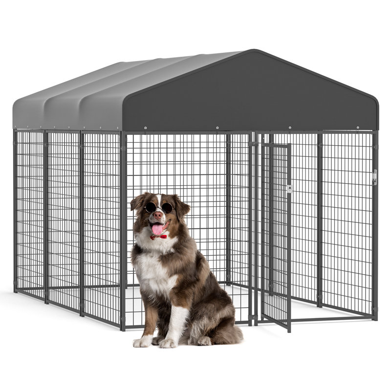  Chenil en métal avec porte pour chien, H 77,95 po x l 12 po x P 77,36 po