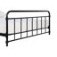 Aanya Bed-1499048767-1499048766