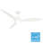 Surea 52'' Ceiling Fan with LED Lights-112461113