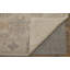 Wendover Transitional Oriental, Beige/Gray Area Rug-917887260
