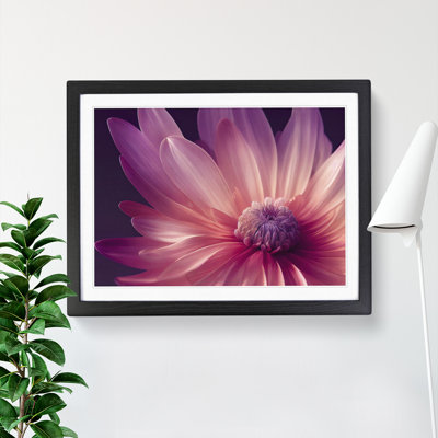 Cute Chrysanthemum Flower Vol.4 - Framed Print