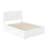 Lampley Kids with Trundle-1187255275-1187255274