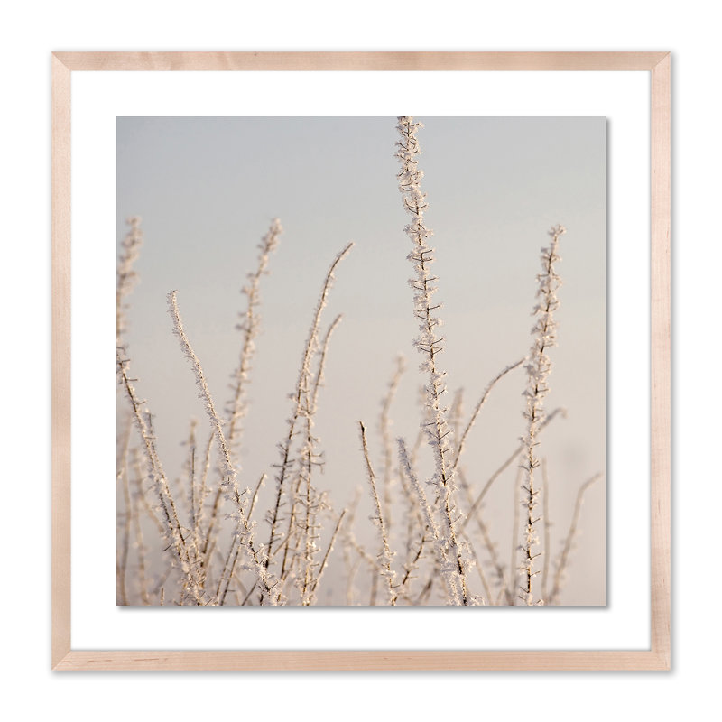 « hoar frost white » par pernille westh-cadre photo, impression sur papier, H 24 po x l 24 po x P 1,5 po, Naturel