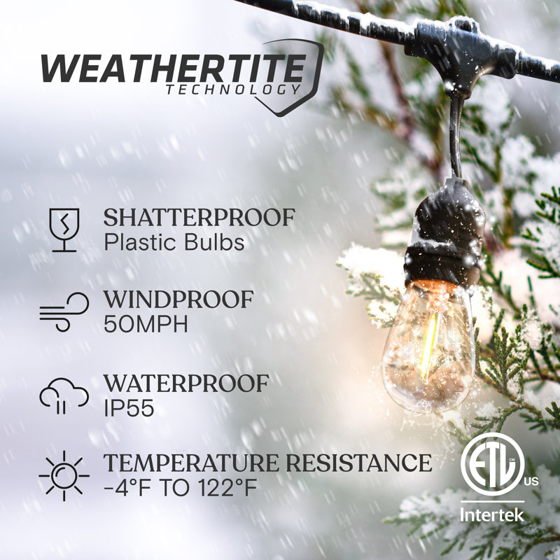 Ambience Pro 24 ft. Plug-In Outdoor Patio LED String Lights with 7 Warm White S14 Edison Bulbs, Weatherproof, 24 ft.