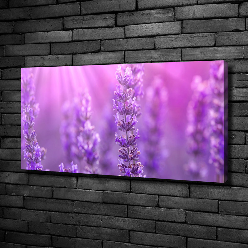 Lavender - No Frame Print on Canvas
