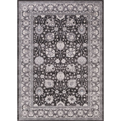 Oriental Indoor Rug