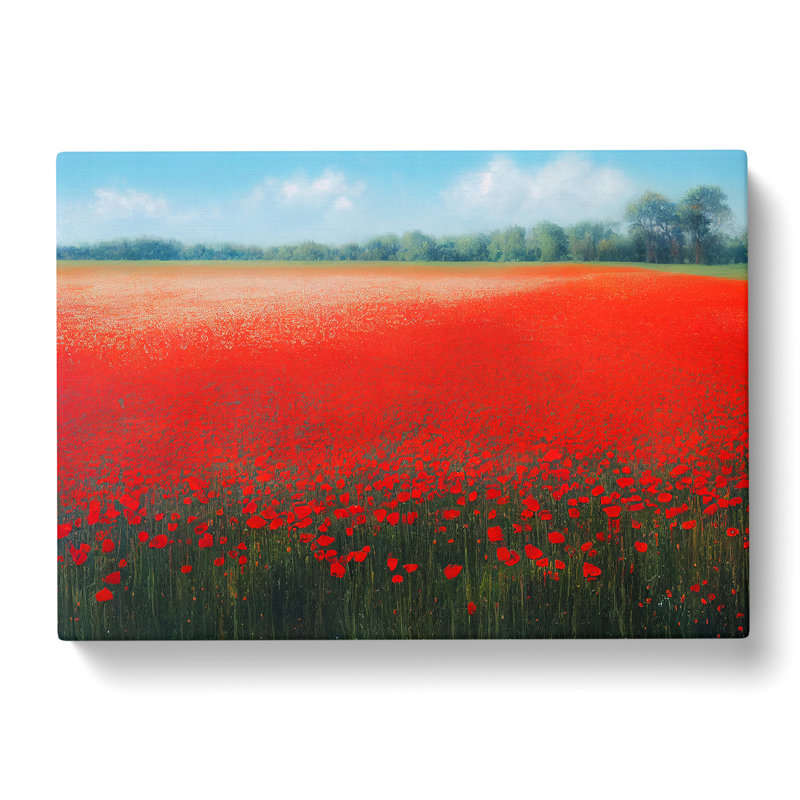 Inspirational Poppy Field Flowers - Wrapped Canvas, 35cm H x 50cm W x 3cm D