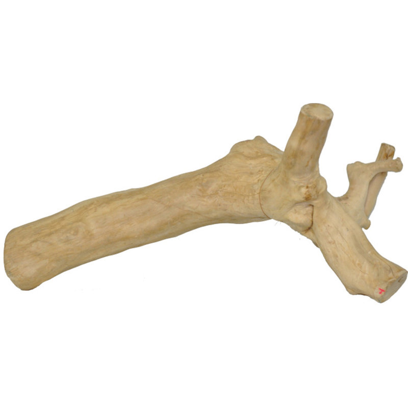 Ensemble d'accessoires pour reptile en bois 6 po x 6 po x 6 po - Naturel: la taille et la forme du produit peuvent varier