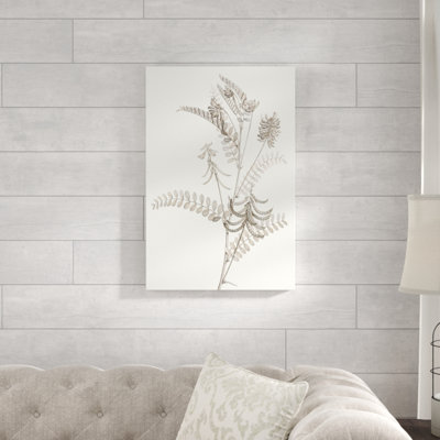 Neutral Botanical Study VII by Vision Studio - Painting Print