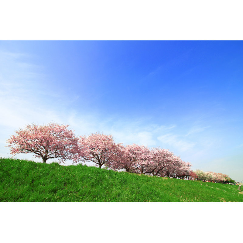 Japanese Landscape by Free Art Director - Wrapped Canvas Print, 61cm H x 91cm W