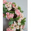 Faux Cherry Blossom Wreath 24"