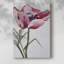 Coquelicot Paris - galerie Cavas-265895117