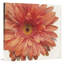 « vif red cascade », reproduction d’art sur toile-470899539-467526313