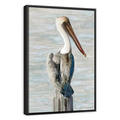 Classic Brown Pelican