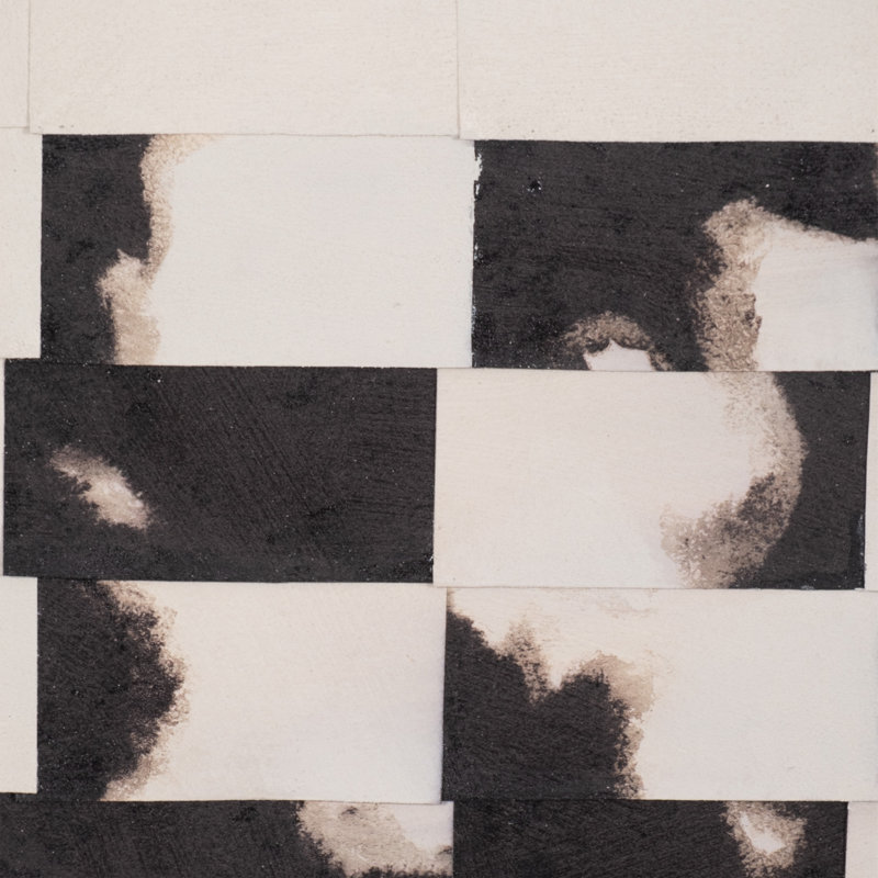 Monok Painting by Brayden Studio®