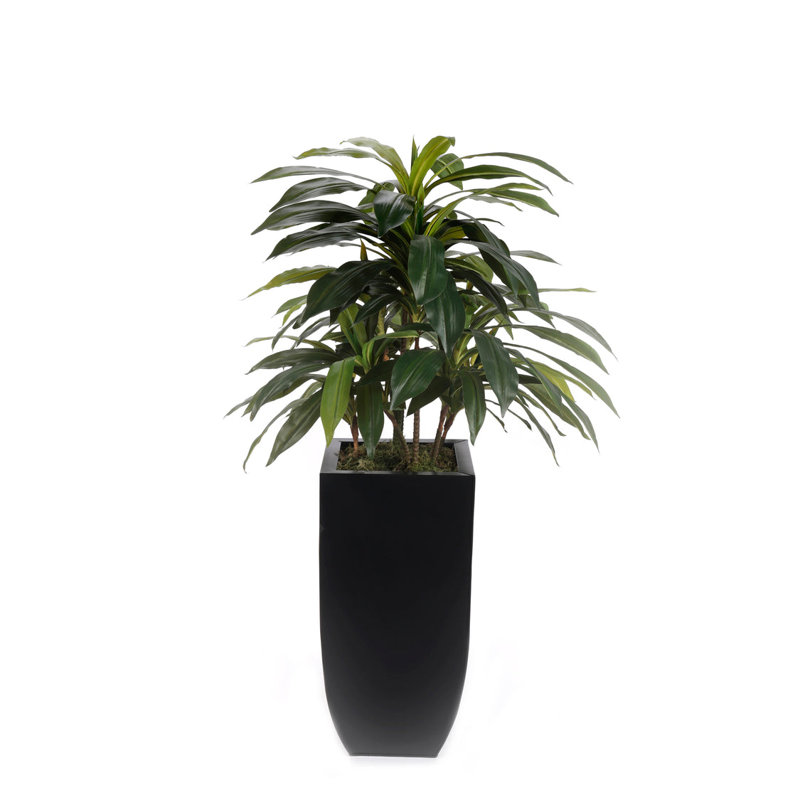 4'H Artifical Dracaena Plant In Black Tin Planter
